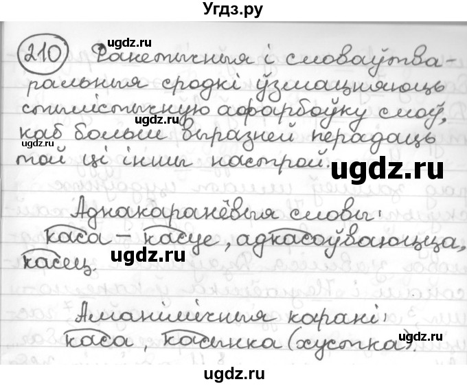 ГДЗ (Решебник к учебнику 2016) по белорусскому языку 10 класс Валочка Г. М. / практыкаванне / 210