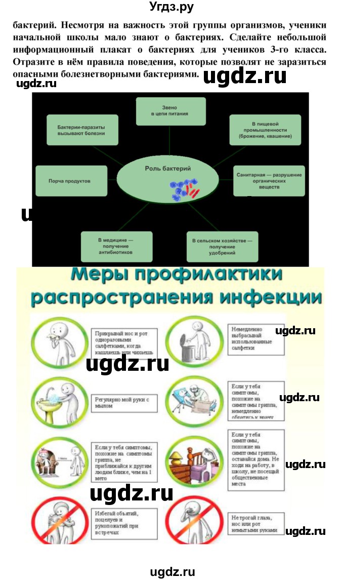 ГДЗ (Решебник) по биологии 5 класс Ловягин С.Н. / § / § 13(продолжение 5)