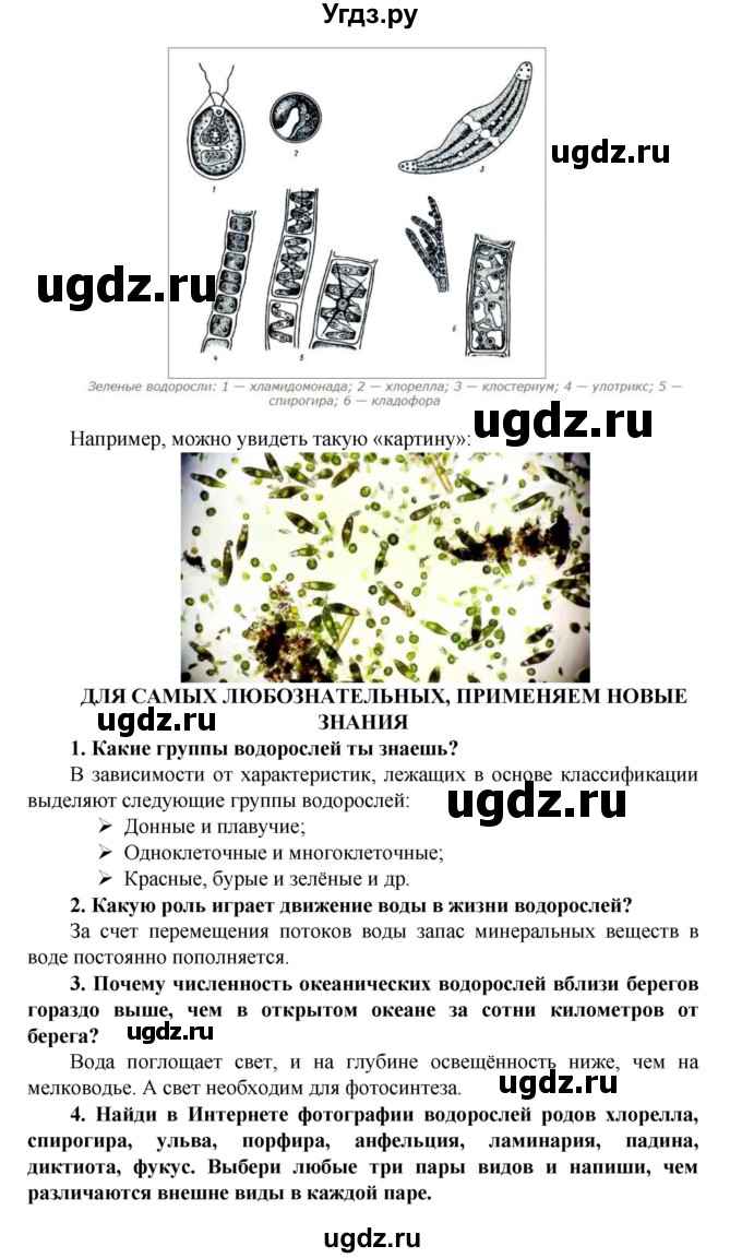 ГДЗ (Решебник) по биологии 5 класс Ловягин С.Н. / § / § 19(продолжение 4)