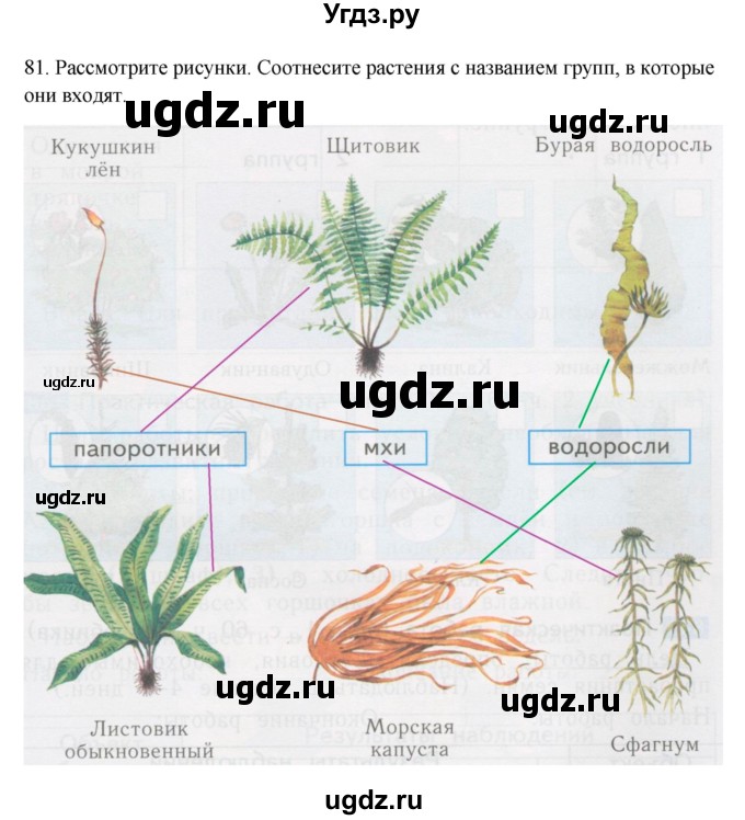 ГДЗ (Решебник) по окружающему миру 2 класс (рабочая тетрадь) Н.Я. Дмитриева / упражнение номер / 81