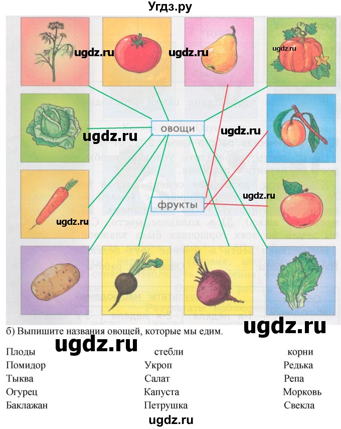 ГДЗ (Решебник) по окружающему миру 2 класс (рабочая тетрадь) Н.Я. Дмитриева / упражнение номер / 86(продолжение 2)