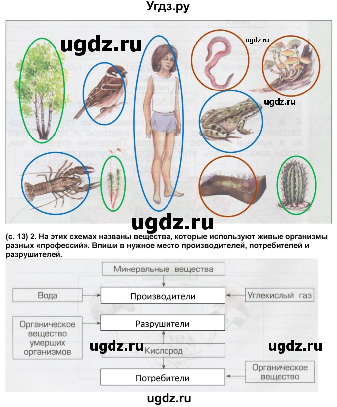 ГДЗ (Решебник) по окружающему миру 3 класс (рабочая тетрадь) Вахрушев А.А. / часть 1 (страница) / 13(продолжение 2)