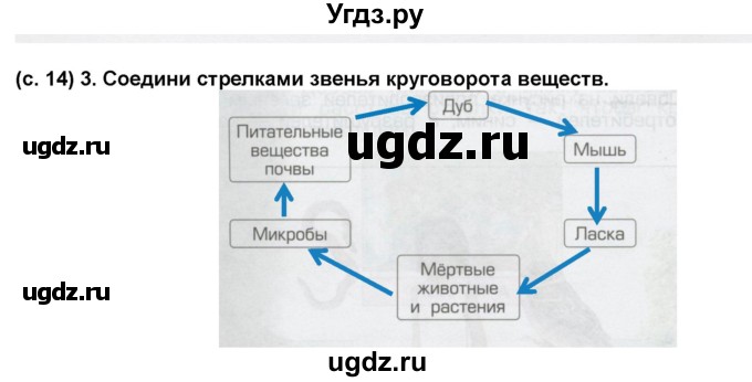 ГДЗ (Решебник) по окружающему миру 3 класс (рабочая тетрадь) Вахрушев А.А. / часть 1 (страница) / 14