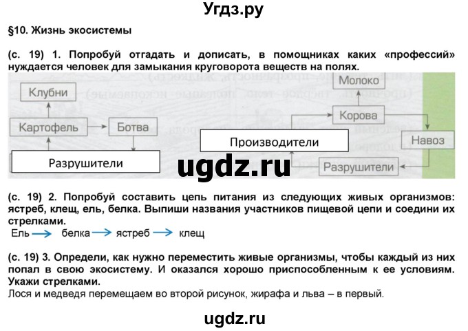 ГДЗ (Решебник) по окружающему миру 3 класс (рабочая тетрадь) Вахрушев А.А. / часть 1 (страница) / 19