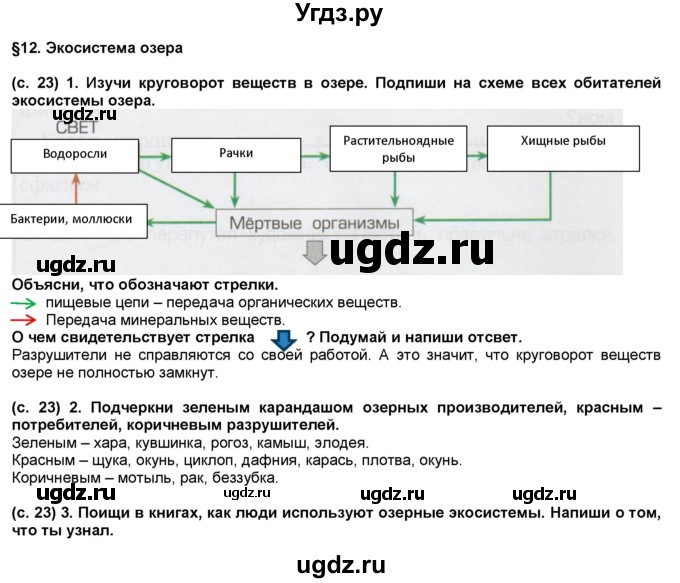 ГДЗ (Решебник) по окружающему миру 3 класс (рабочая тетрадь) Вахрушев А.А. / часть 1 (страница) / 23