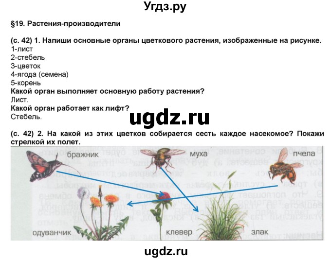 ГДЗ (Решебник) по окружающему миру 3 класс (рабочая тетрадь) Вахрушев А.А. / часть 1 (страница) / 42