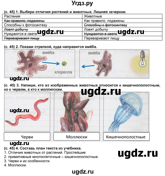 ГДЗ (Решебник) по окружающему миру 3 класс (рабочая тетрадь) Вахрушев А.А. / часть 1 (страница) / 45(продолжение 2)