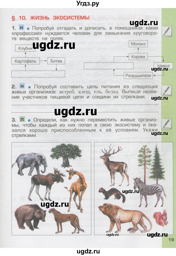 ГДЗ (Тетрадь) по окружающему миру 3 класс (рабочая тетрадь) Вахрушев А.А. / часть 1 (страница) / 19