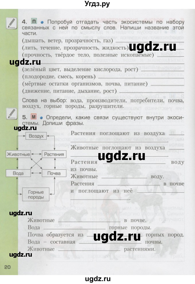 ГДЗ (Тетрадь) по окружающему миру 3 класс (рабочая тетрадь) Вахрушев А.А. / часть 1 (страница) / 20