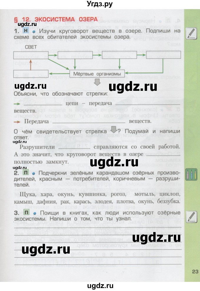 ГДЗ (Тетрадь) по окружающему миру 3 класс (рабочая тетрадь) Вахрушев А.А. / часть 1 (страница) / 23