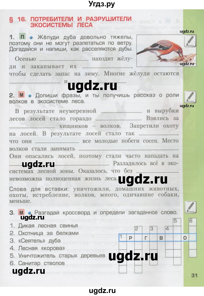 ГДЗ (Тетрадь) по окружающему миру 3 класс (рабочая тетрадь) Вахрушев А.А. / часть 1 (страница) / 31