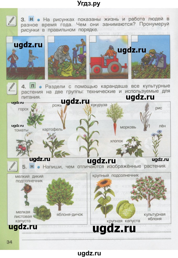 ГДЗ (Тетрадь) по окружающему миру 3 класс (рабочая тетрадь) Вахрушев А.А. / часть 1 (страница) / 34