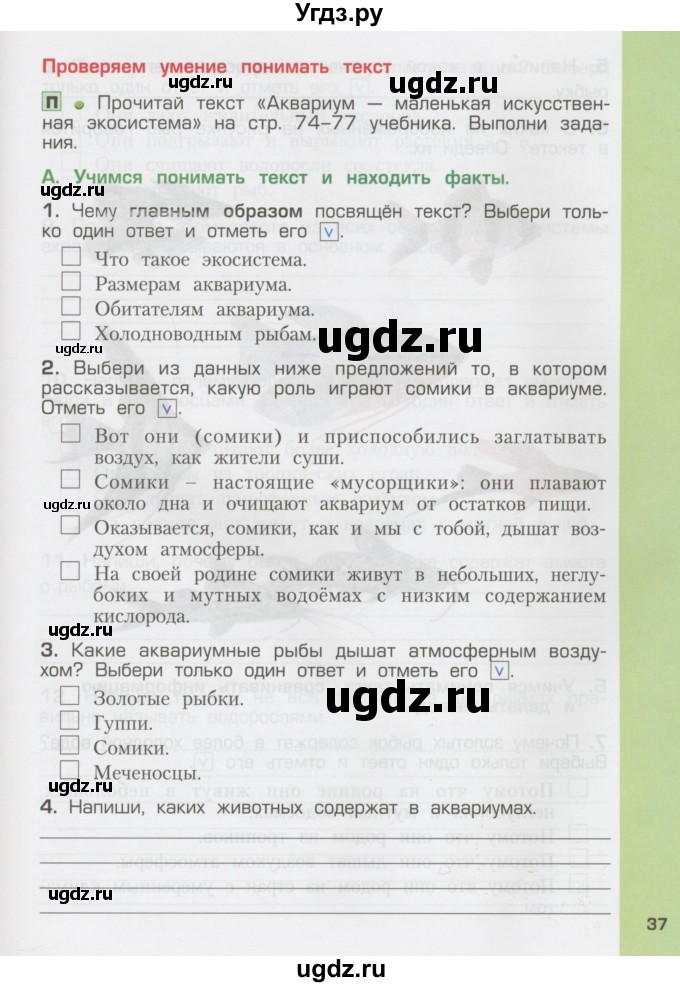 ГДЗ (Тетрадь) по окружающему миру 3 класс (рабочая тетрадь) Вахрушев А.А. / часть 1 (страница) / 37