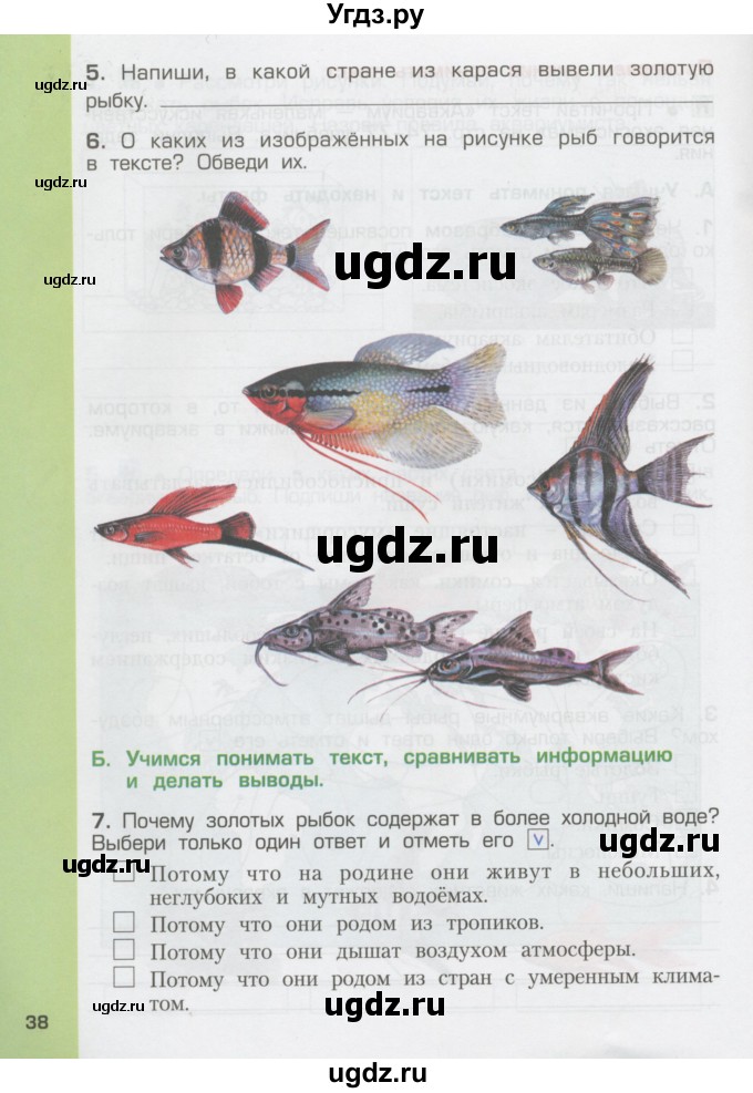 ГДЗ (Тетрадь) по окружающему миру 3 класс (рабочая тетрадь) Вахрушев А.А. / часть 1 (страница) / 38-39