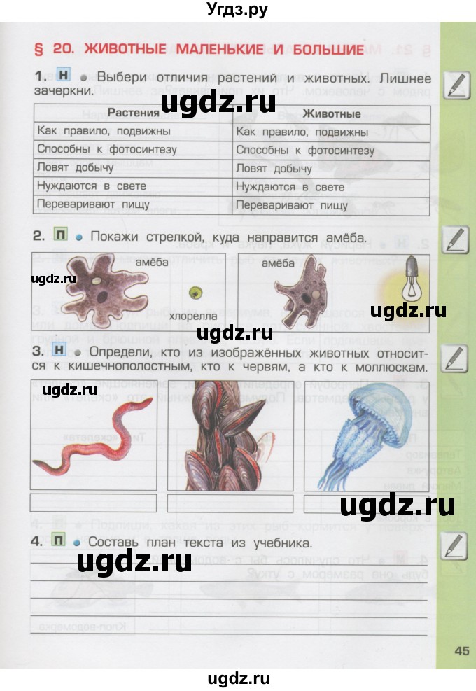 ГДЗ (Тетрадь) по окружающему миру 3 класс (рабочая тетрадь) Вахрушев А.А. / часть 1 (страница) / 45