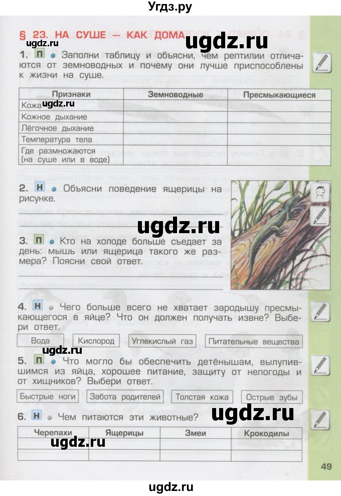 ГДЗ (Тетрадь) по окружающему миру 3 класс (рабочая тетрадь) Вахрушев А.А. / часть 1 (страница) / 49