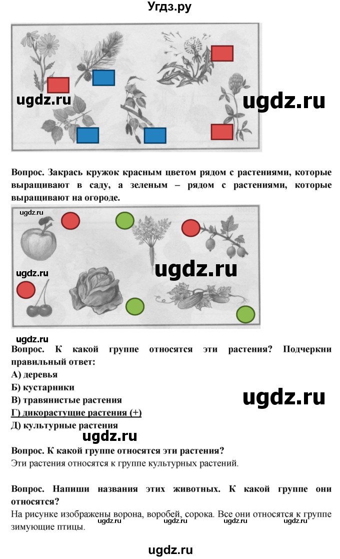 ГДЗ (Решебник) по окружающему миру 1 класс (рабочая тетрадь) Ивченкова Г.Г. / часть 2. страница номер / 30(продолжение 2)