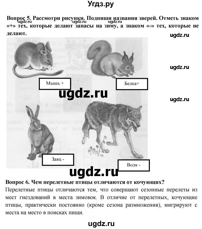 ГДЗ (Решебник) по окружающему миру 2 класс (рабочая тетрадь) Ивченкова Г.Г. / тетрадь №1. страница / 15