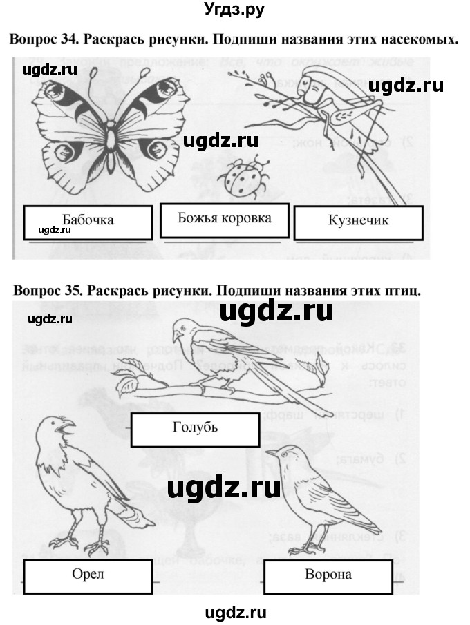 ГДЗ (Решебник) по окружающему миру 2 класс (рабочая тетрадь) Ивченкова Г.Г. / тетрадь №2. страница / 20
