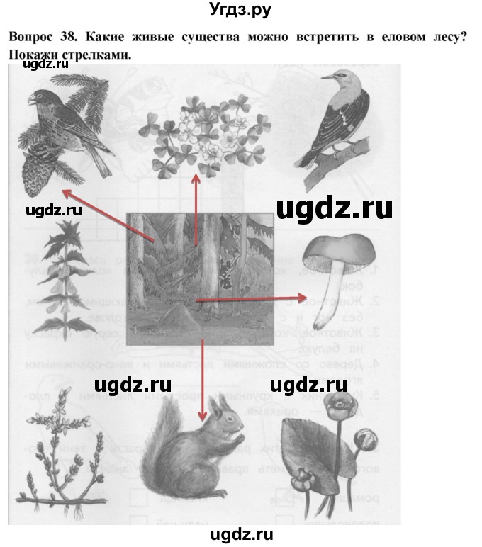 ГДЗ (Решебник) по окружающему миру 2 класс (рабочая тетрадь) Ивченкова Г.Г. / тетрадь №2. страница / 22