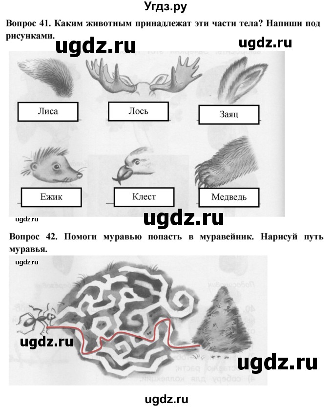 ГДЗ (Решебник) по окружающему миру 2 класс (рабочая тетрадь) Ивченкова Г.Г. / тетрадь №2. страница / 24