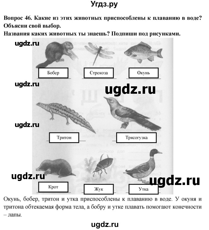 ГДЗ (Решебник) по окружающему миру 2 класс (рабочая тетрадь) Ивченкова Г.Г. / тетрадь №2. страница / 26