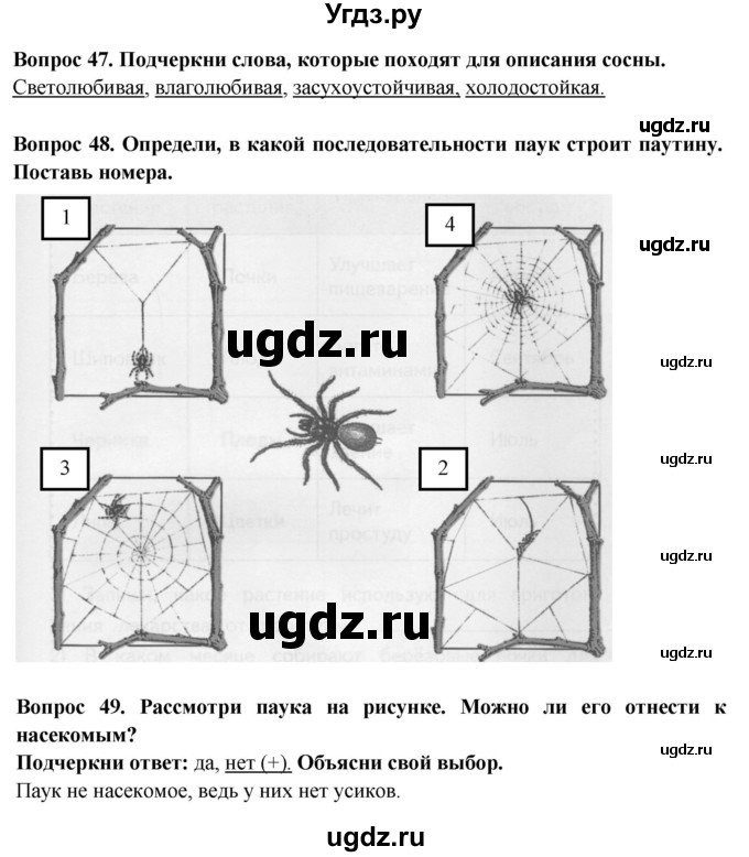 ГДЗ (Решебник) по окружающему миру 2 класс (рабочая тетрадь) Ивченкова Г.Г. / тетрадь №2. страница / 27