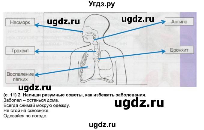 ГДЗ (Решебник) по окружающему миру 4 класс (рабочая тетрадь) Вахрушев А.А. / часть 1 (страница) / 11(продолжение 2)