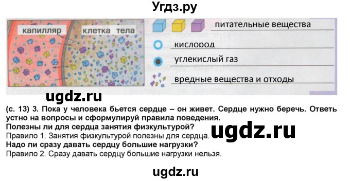 ГДЗ (Решебник) по окружающему миру 4 класс (рабочая тетрадь) Вахрушев А.А. / часть 1 (страница) / 13(продолжение 2)