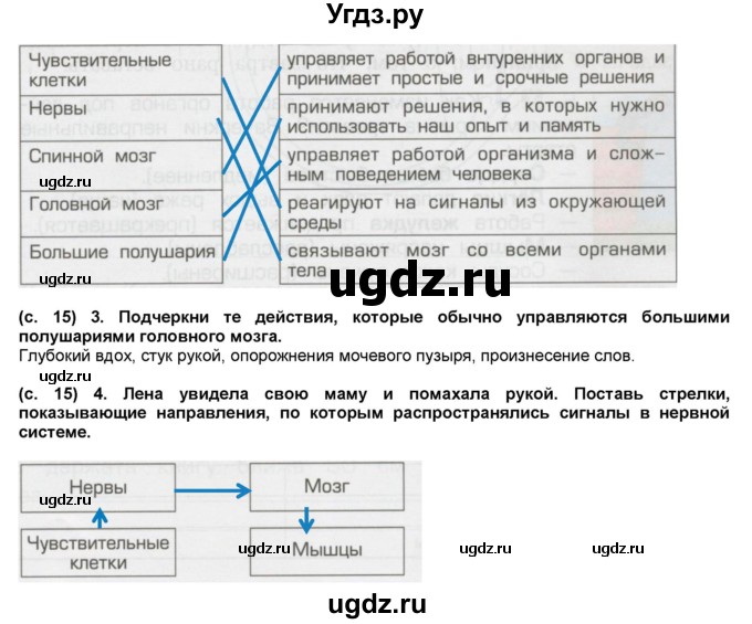 ГДЗ (Решебник) по окружающему миру 4 класс (рабочая тетрадь) Вахрушев А.А. / часть 1 (страница) / 15(продолжение 2)