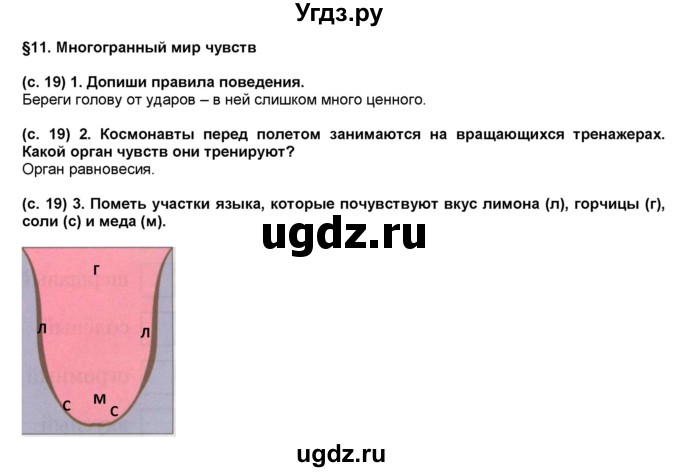 ГДЗ (Решебник) по окружающему миру 4 класс (рабочая тетрадь) Вахрушев А.А. / часть 1 (страница) / 19