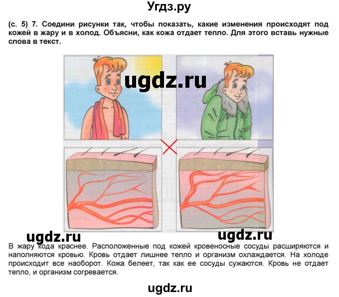 ГДЗ (Решебник) по окружающему миру 4 класс (рабочая тетрадь) Вахрушев А.А. / часть 1 (страница) / 5