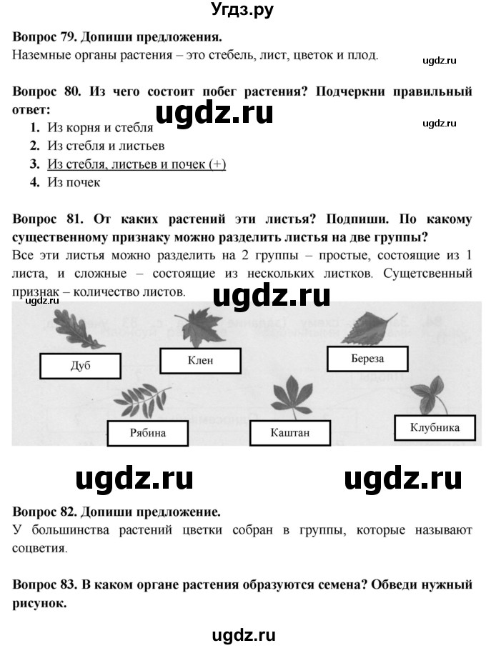 Работа над проектом окружающий мир 2 класс рабочая тетрадь ивченкова