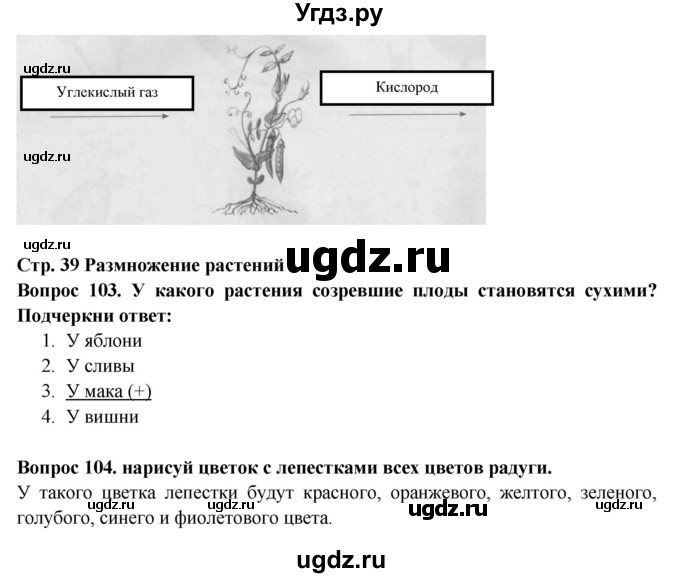 ГДЗ (Решебник) по окружающему миру 3 класс (рабочая тетрадь) Ивченкова Г.Г. / часть 1. страница номер / 39(продолжение 3)