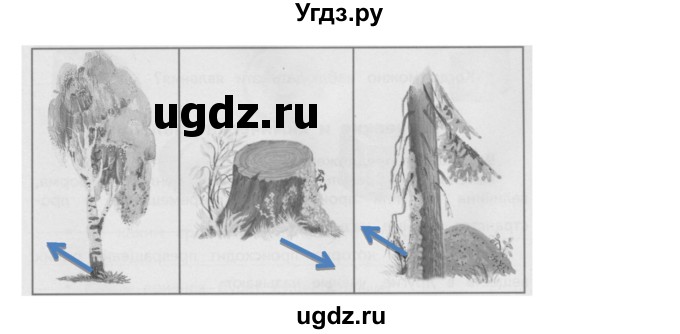 ГДЗ (Решебник) по окружающему миру 3 класс (рабочая тетрадь) Ивченкова Г.Г. / часть 1. страница номер / 4(продолжение 3)