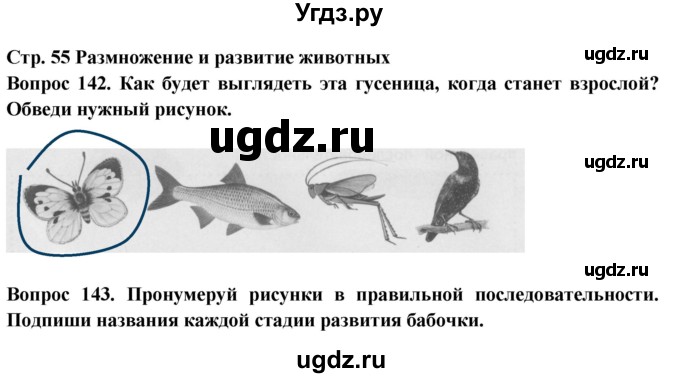 ГДЗ (Решебник) по окружающему миру 3 класс (рабочая тетрадь) Ивченкова Г.Г. / часть 1. страница номер / 55