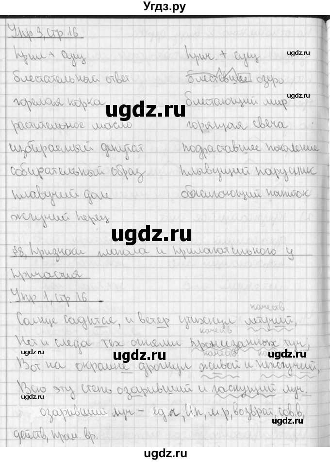 ГДЗ (Решебник) по русскому языку 7 класс (рабочая тетрадь) Рыбченкова Л.М. / часть 1. страница / 16