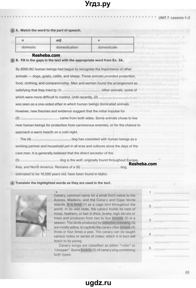 ГДЗ (Учебник) по английскому языку 10 класс (рабочая тетрадь New Millennium) Гроза О.Л. / страница номер / 63