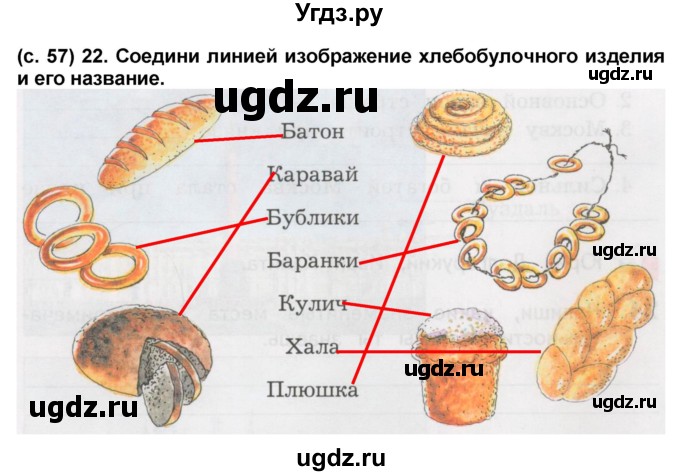 ГДЗ (Решебник) по окружающему миру 2 класс (рабочая тетрадь) Н.Ф. Виноградова / часть 1. страница номер / 57