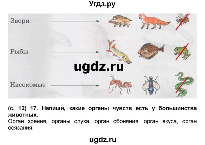 ГДЗ (Решебник) по окружающему миру 2 класс (рабочая тетрадь) Н.Ф. Виноградова / часть 2. страница номер / 12(продолжение 2)