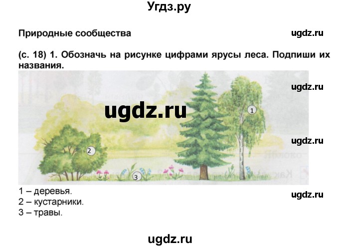 ГДЗ (Решебник) по окружающему миру 2 класс (рабочая тетрадь) Н.Ф. Виноградова / часть 2. страница номер / 18