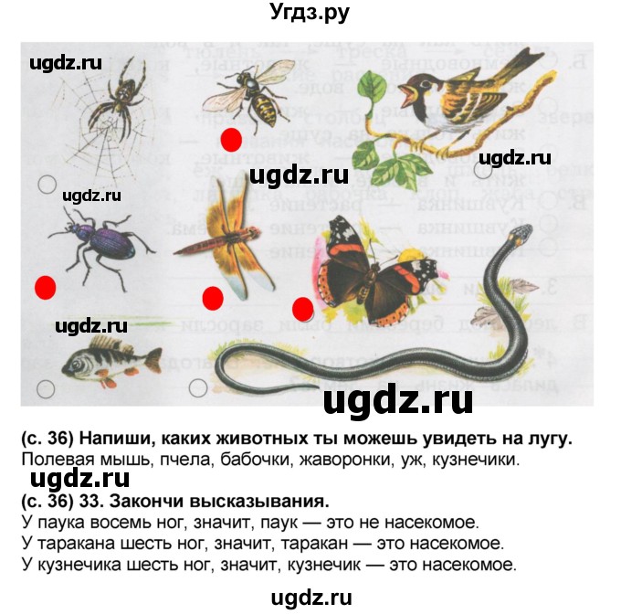 ГДЗ (Решебник) по окружающему миру 2 класс (рабочая тетрадь) Н.Ф. Виноградова / часть 2. страница номер / 36(продолжение 2)