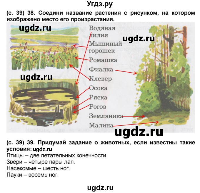 ГДЗ (Решебник) по окружающему миру 2 класс (рабочая тетрадь) Н.Ф. Виноградова / часть 2. страница номер / 39