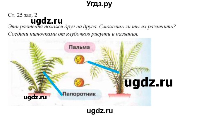 ГДЗ (Решебник) по окружающему миру 1 класс (рабочая тетрадь) Плешаков А. А. / часть 1. страница номер / 25