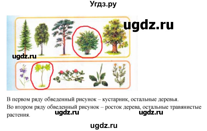 ГДЗ (Решебник) по окружающему миру 1 класс (рабочая тетрадь) Плешаков А. А. / часть 1. страница номер / 26(продолжение 2)