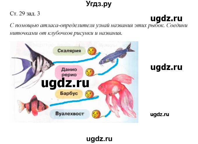 ГДЗ (Решебник) по окружающему миру 1 класс (рабочая тетрадь) Плешаков А. А. / часть 1. страница номер / 29