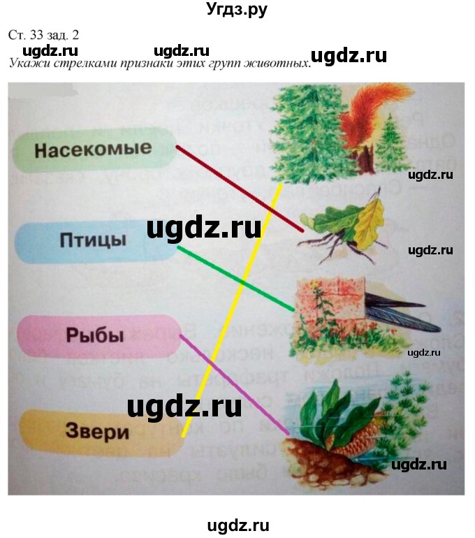 ГДЗ (Решебник) по окружающему миру 1 класс (рабочая тетрадь) Плешаков А. А. / часть 1. страница номер / 33