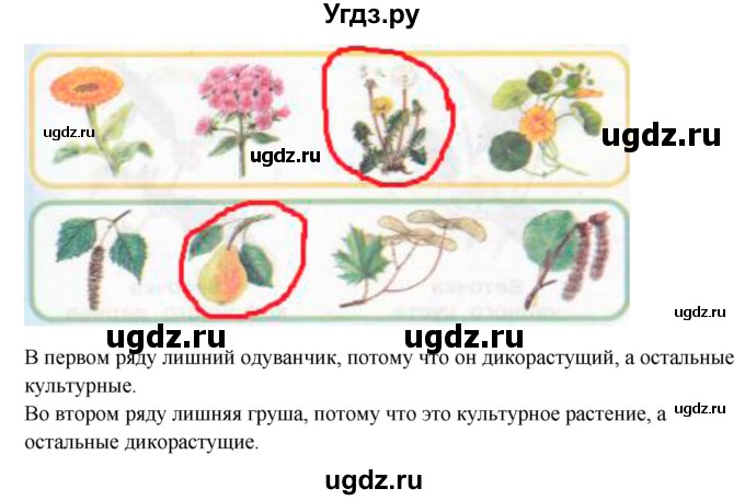 ГДЗ (Решебник) по окружающему миру 1 класс (рабочая тетрадь) Плешаков А. А. / часть 1. страница номер / 56(продолжение 2)