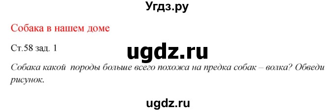 ГДЗ (Решебник) по окружающему миру 1 класс (рабочая тетрадь) Плешаков А. А. / часть 1. страница номер / 58