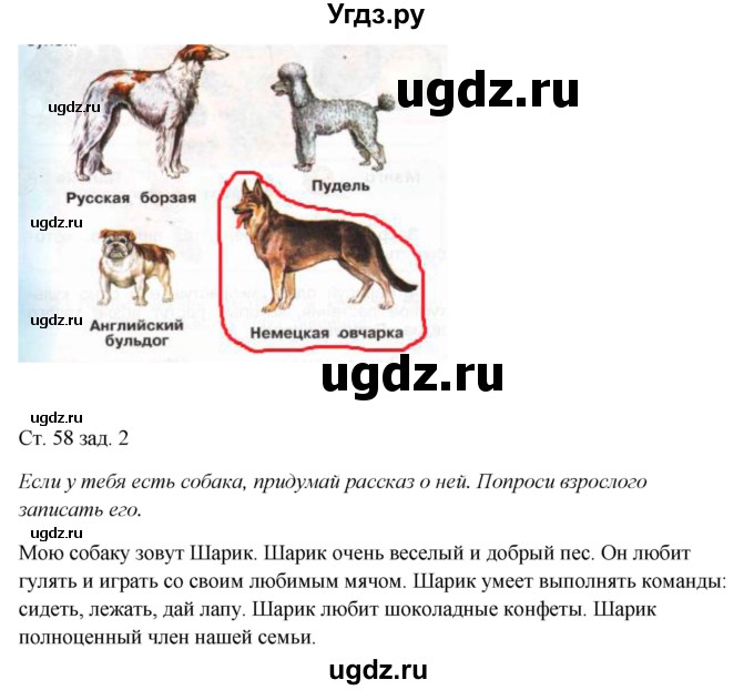 ГДЗ (Решебник) по окружающему миру 1 класс (рабочая тетрадь) Плешаков А. А. / часть 1. страница номер / 58(продолжение 2)